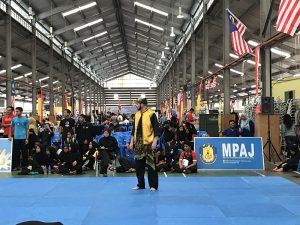 Stage Silat 2017 - Kejohanan (3)