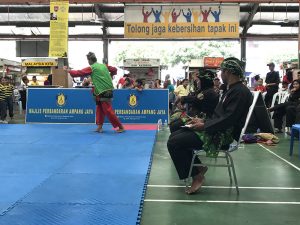 Stage Silat 2017 - Kejohanan (4)