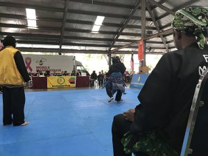 Stage Silat 2017 - Kejohanan (5)