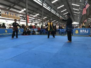 Stage Silat 2017 - Kejohanan (6)