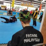 Stage Silat 2017 - Kejohanan (8)